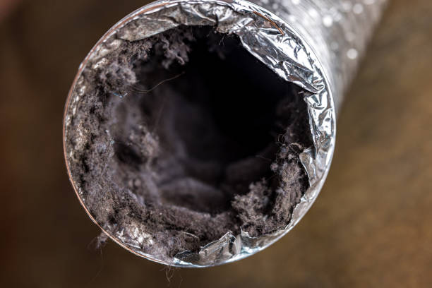 Best Affordable Duct Cleaning Services  in Mount Sinai, NY
